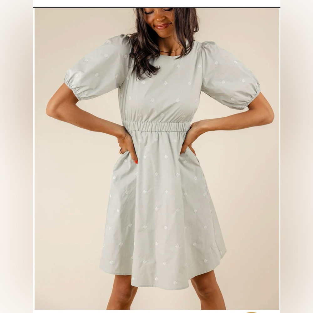 Picture Perfect Embroidered Dress